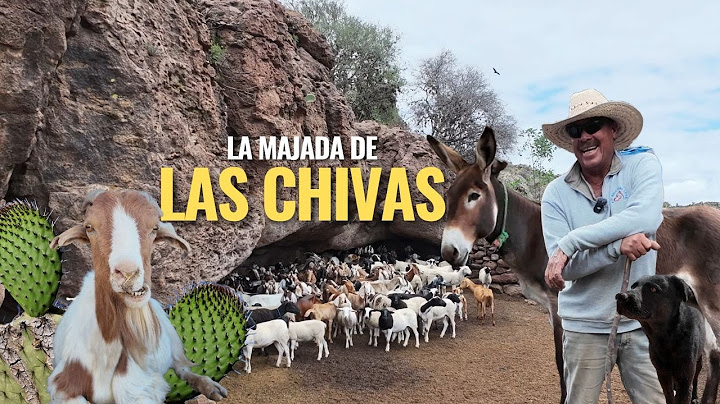 "PARA LOS CHIVEROS NO HAY DOMINGOS AQUI SE TRABAJA TODOS LOS DIAS"