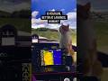 LANDING ATTEMPT THAT WILL GET 3 LIKES TOPS #simulator #flightsimulator #challenge #cat #pet #plane