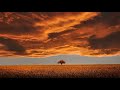 Melodic Progressive House mix Vol 75 (Before The Rain)