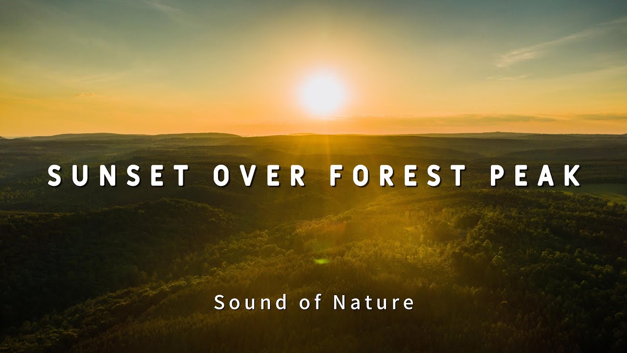 Sunset Over Forest Peaks: 1-Hour Calming Ambient Music With Sunset Tranquility (4K)