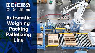 FFS Series Film Roll Fully Automatic Weighing Packing and Robot Palletizing Line Machine -  BEIER