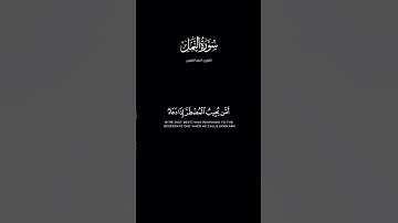 أمن يجيب المضطر اذا دعاه - القارئ : احمد النفيس #tiktok #quran_h2o