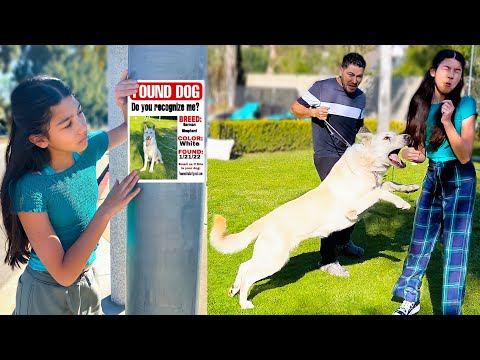 This DOG Is Still MISSING And Very ENERGETIC!! | Familia Diamond