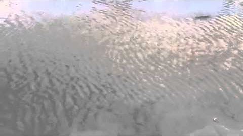 How ripples form in sedentary rocks