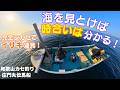 カセ(伝馬船)釣り編 和歌山中紀の庄門丸！釣りもの少ない2月でもここはボウズにはなりません！