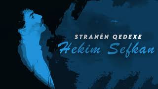 Hekîm Sefkan - Tenêbûn Resimi