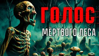 ГОЛОС МЁРТВОГО ЛЕСА | Таёжные Истории