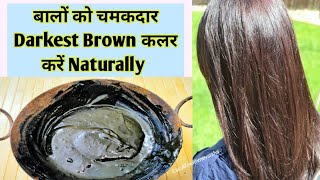 महंगे Hair colourकी जरूरत नहीं/100% Effective/बालों को इस तरह से करें Natural brown or Darkest brown