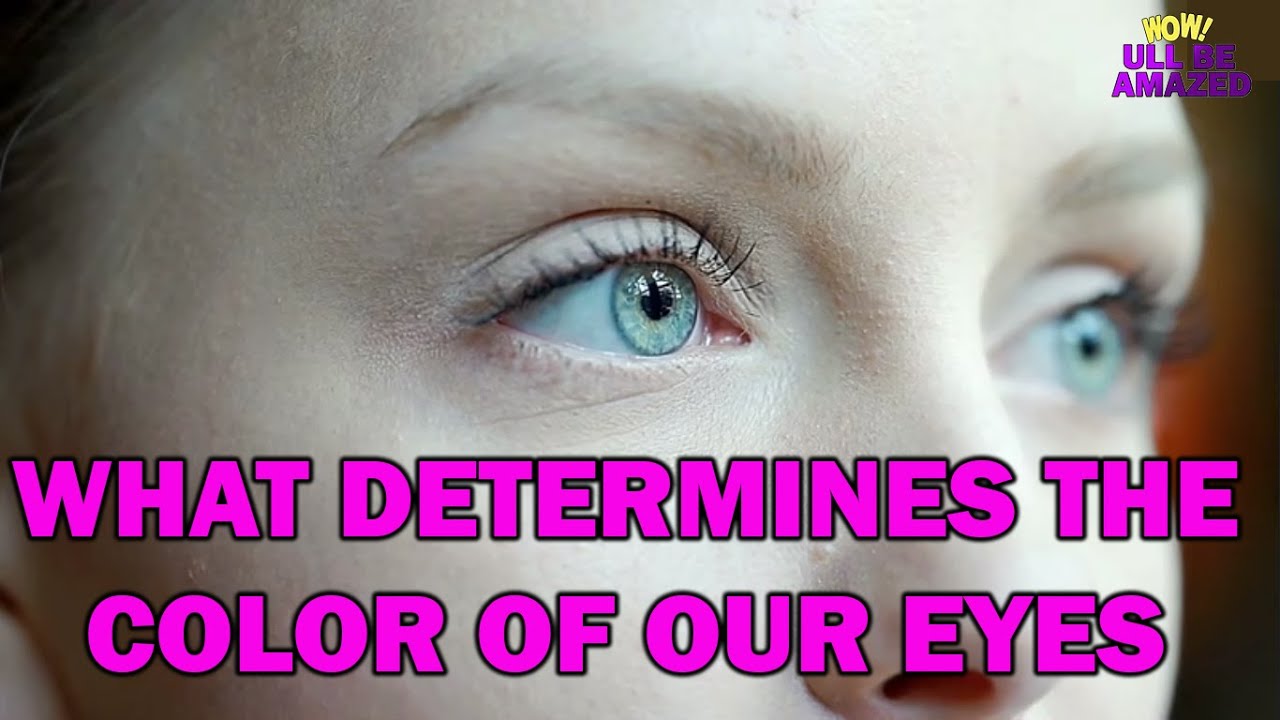 What Determines The Color Of Our Eyes YouTube what-determines-the-color-of-our-eyes-youtube