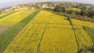 DJI Phantom 2 flying over mustard fields in Nepal