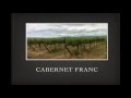 Winecast: Cabernet Franc