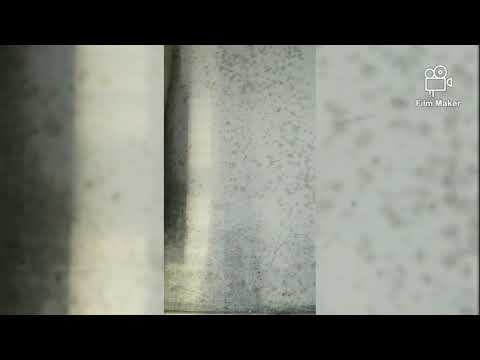 green way/ გრინვეი