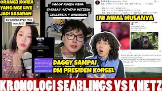 Daggy dan Tiktokers Korea Lainnya Sampai DIHUJ4T?? | Kronologi SEAblings VS K-NETZ