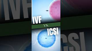 IVF vs. ICSI: Which Treatment is Better #ivf #icsi #fertility