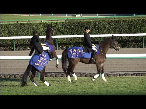 【イクイノックス】2022有馬記念　ルメール騎手直筆サイン入り　ファンファーレ イクイノックスが優勝 競馬・有馬記念 [写真特集5/14] | 毎日新聞