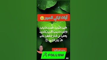 تلاوة قرأنية تريح النفس 🌺🥰 انصت وانشر كلام رب العزة تؤجر🤲🌺#تلاوة #قرآني_جناتي #quran #fyp #foryou #v