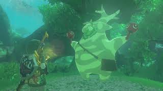 Hestus Weapon Stash Dance