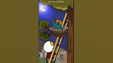 Birds are in the midnight 😂😡 Shorts