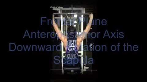 Biomechanics Lab 5 - Video