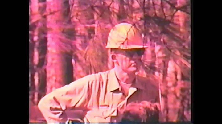 Project Fire Organization