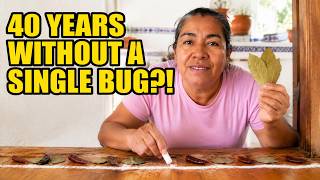 I Haven’t Seen A Bug In My House In 40 YEARS — My Mother’s Old Mexican Trick