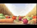 Funny animal animation short film