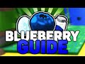 Get Blueberries Fast in Bee Swarm Simulator! (2024)
