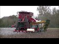 Case IH 2555 Picking/Unloading Cotton-Centre, Alabama 11/23/2018