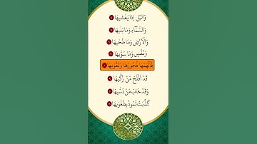 ماهر المعيقلي - سورة الشمس