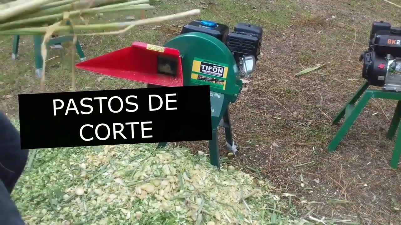 PICAPASTOS TIFON VER LAS MÚLTIPLES VENTAJAS CON  CUCHILLA DE GUADAÑA