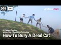 How To Bury A Dead Cat - Will This Cat Make It To Heaven? // Viddsee Originals
