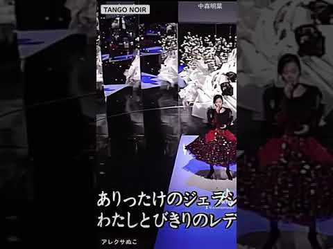 中森明菜　TANGO NOIR     アレクサねこ