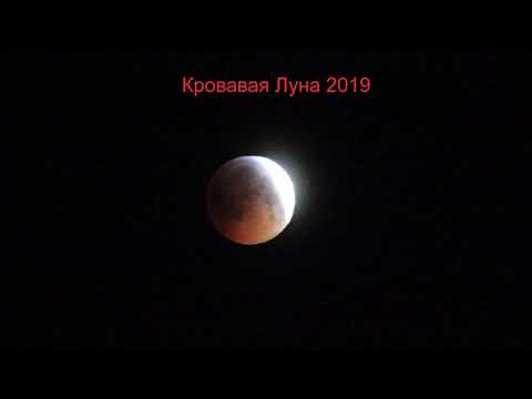 Кровавая Луна 2019 год