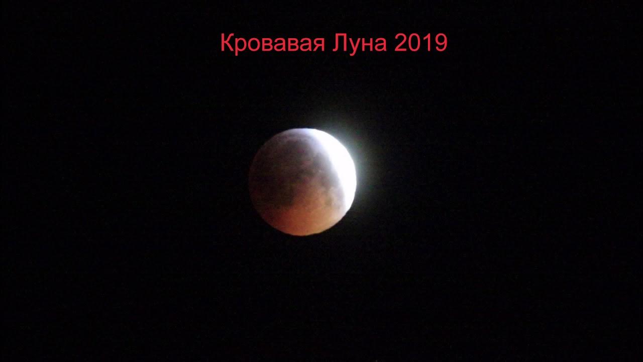 Луна 2019 года. Кровавая Луна 2019. Кровавая Луна 1997. На Луне (2019). В тени Луны 2019.