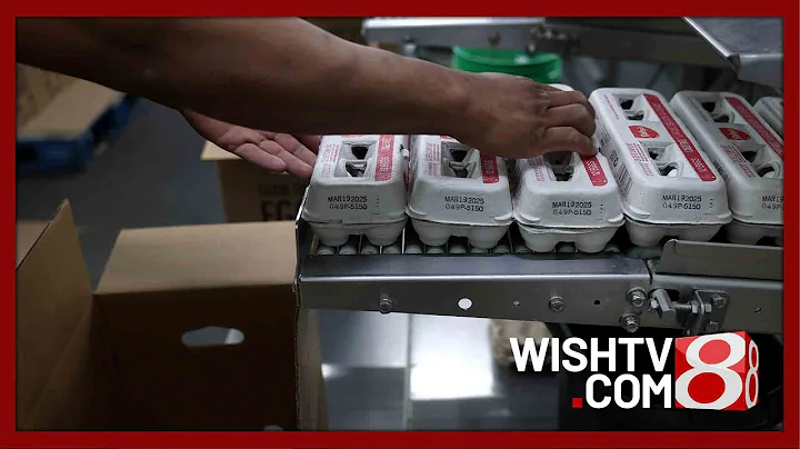 Egg labels are confusing -- here's how to decode them