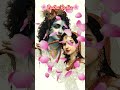 #radhe#radhakrishn #radharani #shyam