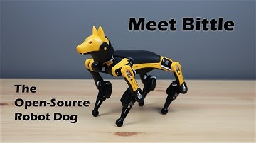 Meet Bittle, the Palm-sized Open Source Quadruped Robot Dog 2023