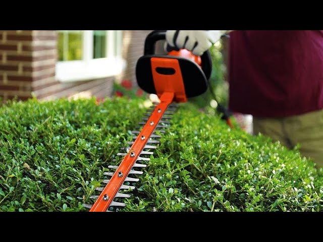 Black+Decker HH2455 Hedge Trimmer Review - Consumer Reports