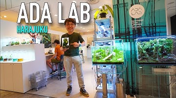 STUNNING Aquariums & Terrariums at ADA LAB (Harajuku)