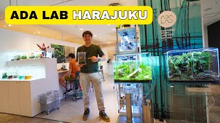 STUNNING Aquariums & Terrariums at ADA LAB (Harajuku)