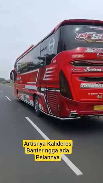 Bus tektok Specialis kejar waktu tunggal jaya Pesona kalideres #buskuningan #tunggaljaya