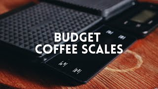 Budget Coffee Scales!! | Review and Comparison