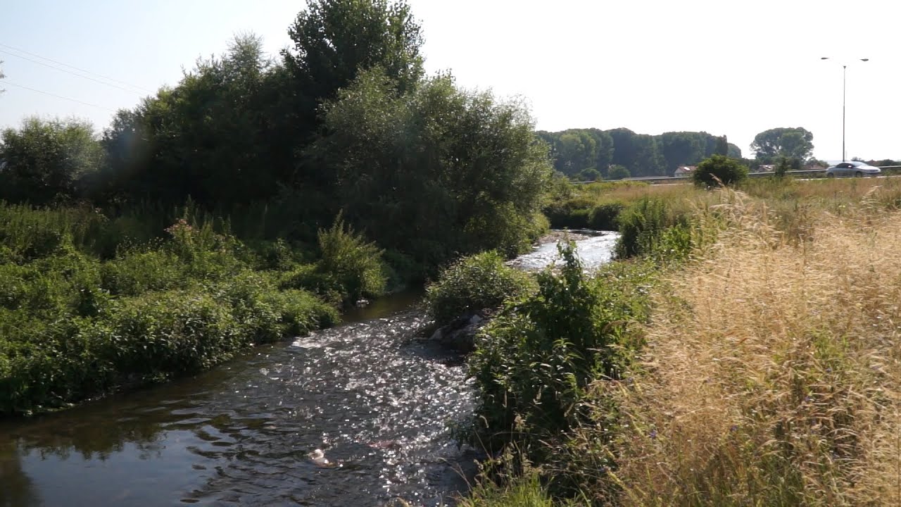 43 933 лв. ще бъдат отпуснати на ОА - Кюстендил за почистване на р ...