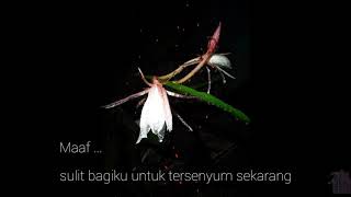 Musikalisasi puisi | Puisi Kehidupan- Maaf Jika Aku Tak Sama