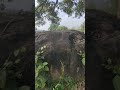 Farm Vist Vlog | Relax time #vlog #telugu #favouriteplace