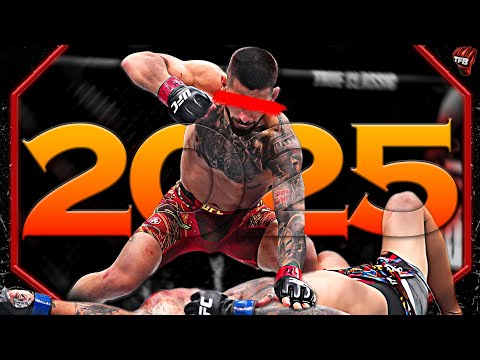 The Ufc's Absolute Best Of 2025