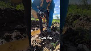 Bu Adamın Güzel Yüreğiyle Tanışın Eğlenceli Kısa Videolar