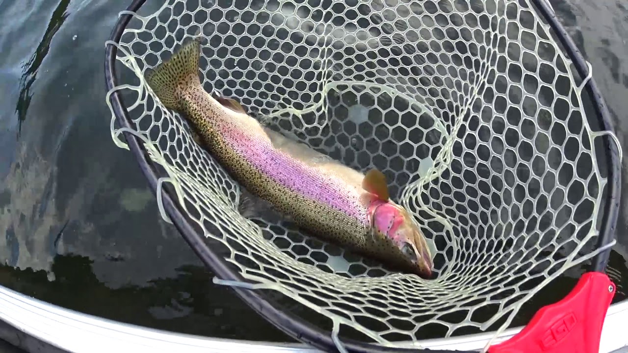 Dragon Lake, BC Spoon Fishing for Rainbows