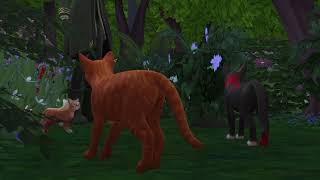 Traitor |Warrior Cats Sims 4 |Sunlit Echo 40