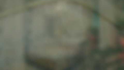 ALBUM MÙNG RÒNG RỌC - thegioimungman.com - RÈM MÀN MINH NGUYỆT BMT 0914 032 573